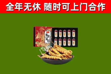 宁安回收冬虫夏草价格