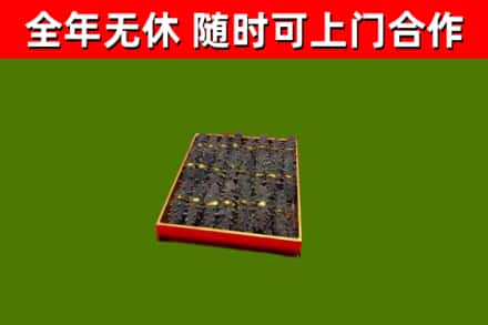 宁安回收海参